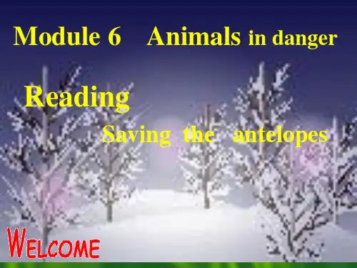 Module6Reading课件外研版选修5