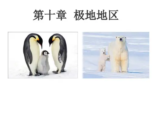最新人教版极地地区ppt1