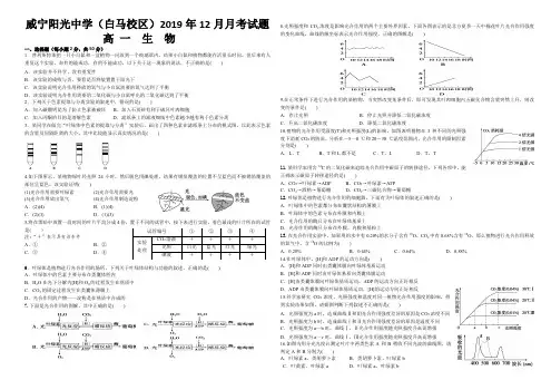 2019年12月份月考试题