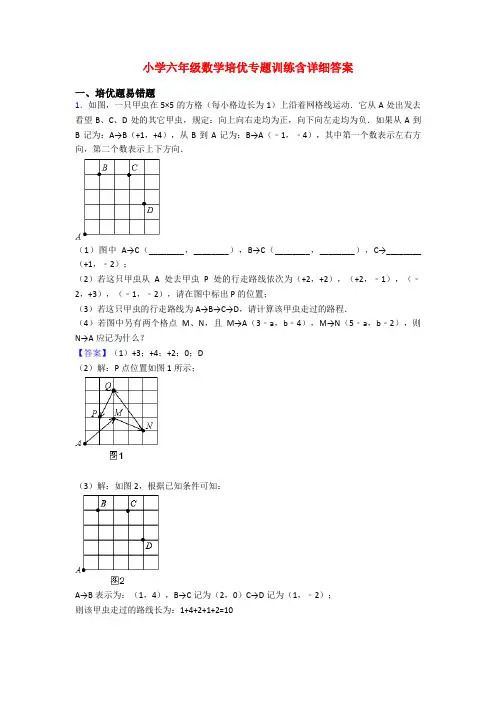 小学六年级数学培优专题训练含详细答案