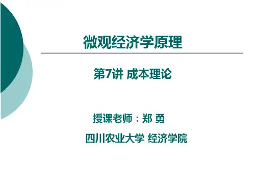 微观经济学(第七讲)