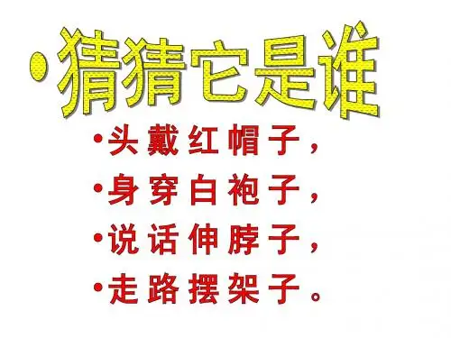 13、《白鹅》 课件
