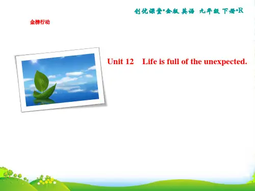 人教版九年级英语下册课件：Unit 12 Section A 话题阅读与情景交际(11张)