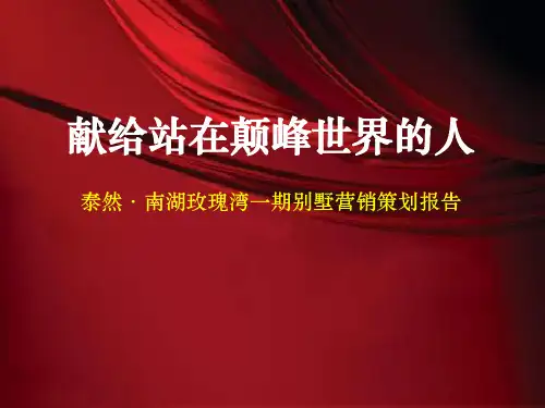 伟业_武汉泰然南湖玫瑰湾一期别墅营销策划报告_82PPT