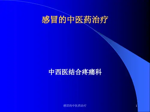 感冒的中医药治疗 ppt课件
