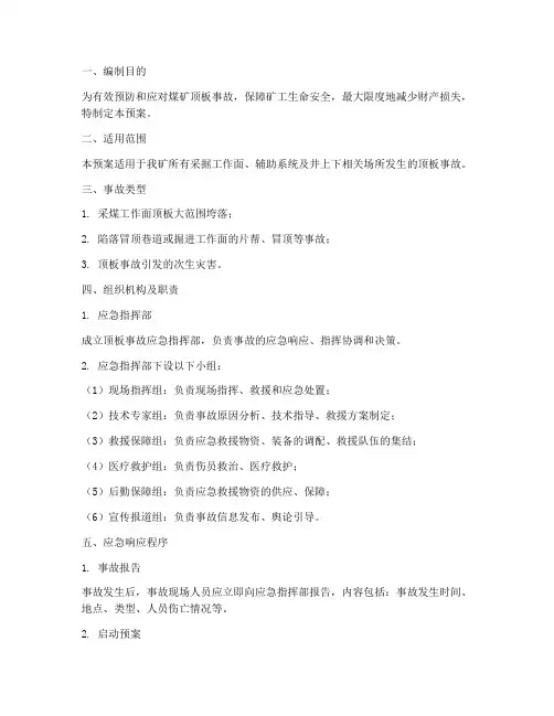 顶板专项事故应急预案