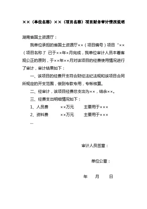 财务审计情况说明