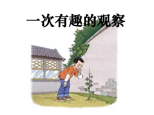 《一次有趣的观察》PPT(上课用)
