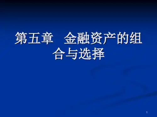 第五章 金融资产组合与选择PPT课件