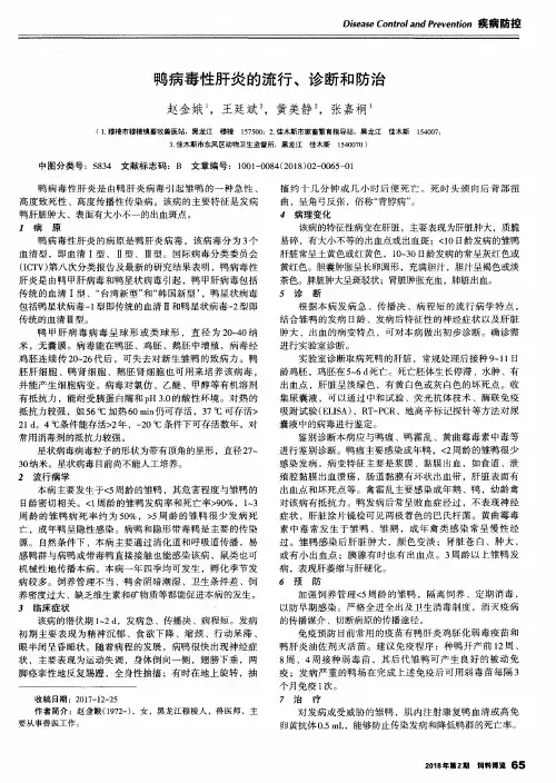 鸭病毒性肝炎的流行、诊断和防治
