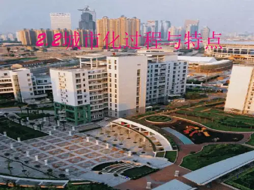 城市化过程与特点