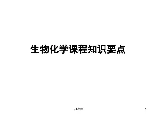 生物化学考研知识要点精编版ppt课件ppt课件