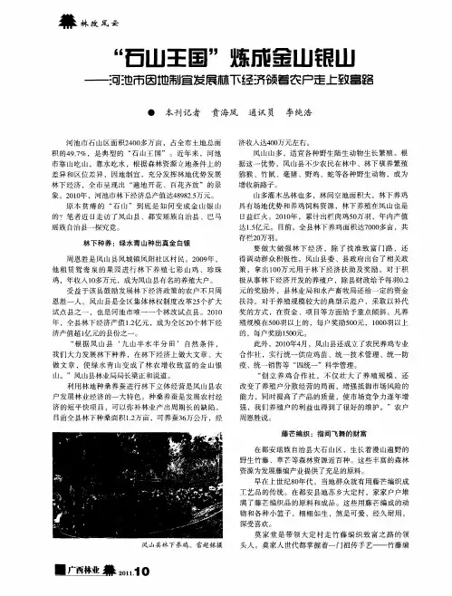 “石山王国”炼成金山银山——河池市因地制宜发展林下经济领着农户走上致富路