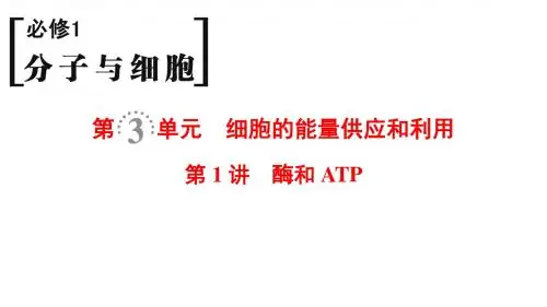 2019届 一轮复习 人教版 酶和ATP 课件
