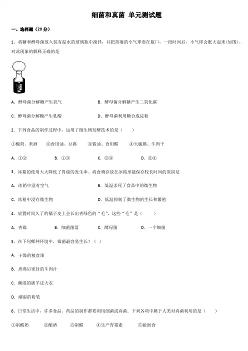 细菌和真菌单元测试题附答案