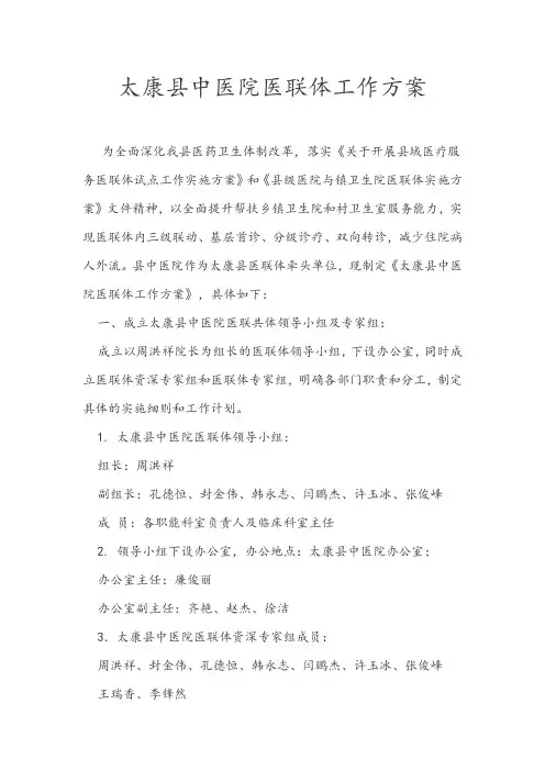医联体工作方案