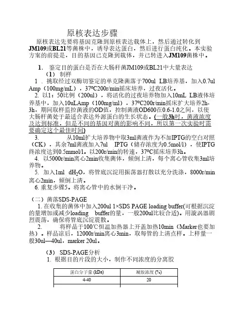 原核表达步骤总结