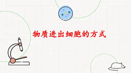 北师大版(2019)高中生物必修一2.1.2物质进出细胞的方式-课件