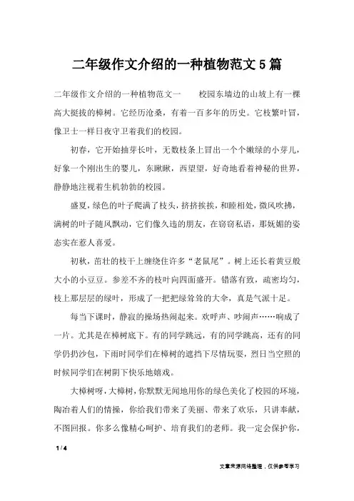 二年级作文介绍的一种植物范文5篇_描写作文
