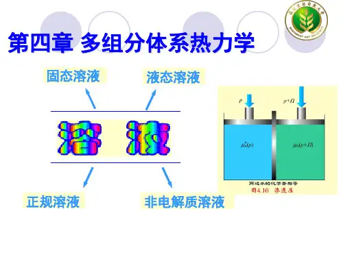 04 第三章 多组分体系热力学