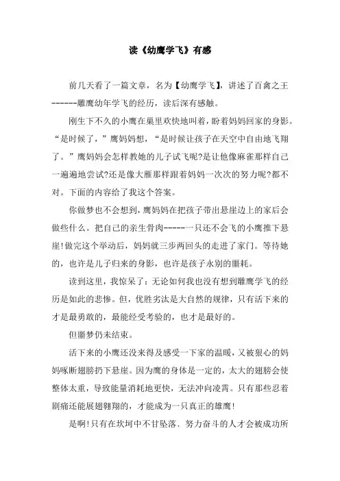 读《幼鹰学飞》有感