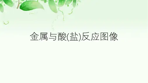 人教版化学高考复习:金属与酸反应图像