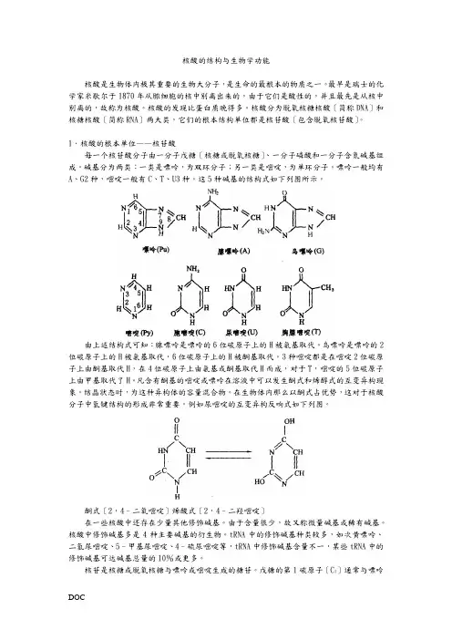 核酸的结构与生物学功能