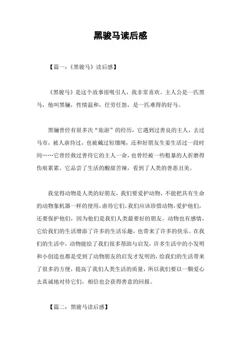 黑骏马读后感