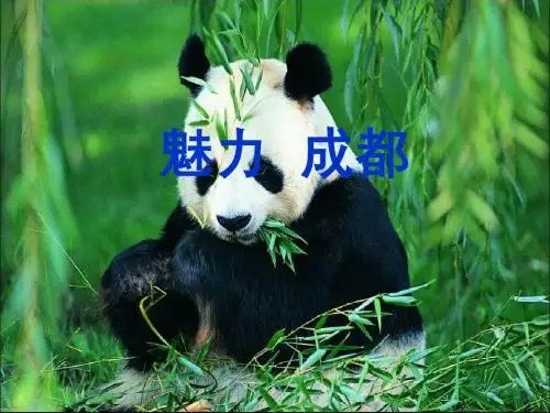 成都简介