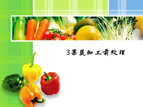 3果蔬加工前处理