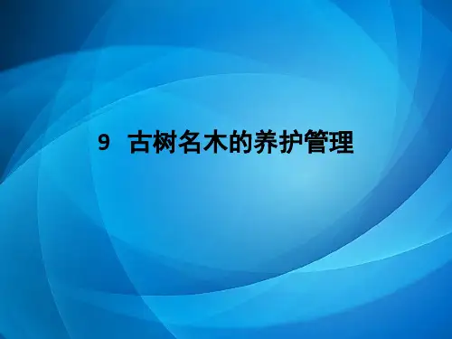 栽培学PPT 9 古树名木的养护管理