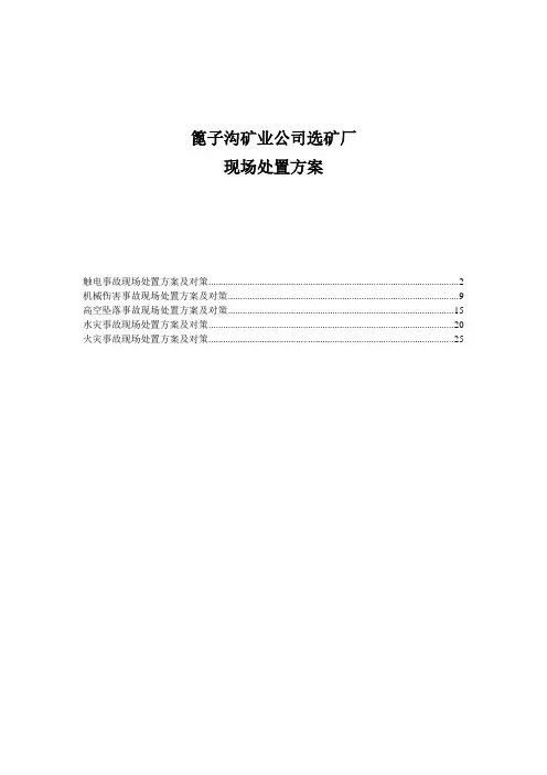 现场处置方案