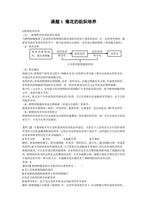 高中生物备课参考 菊花的组织培养