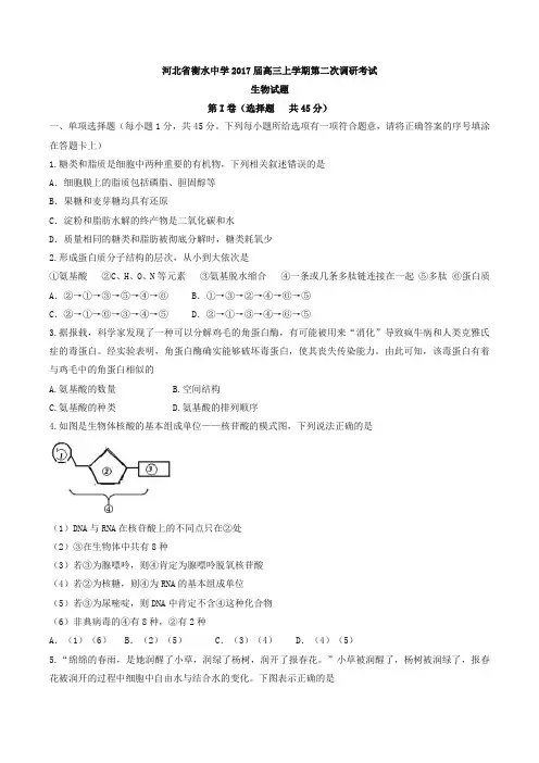 【全国百强校】河北省衡水中学2017届高三上学期第二次调研考试生物试题