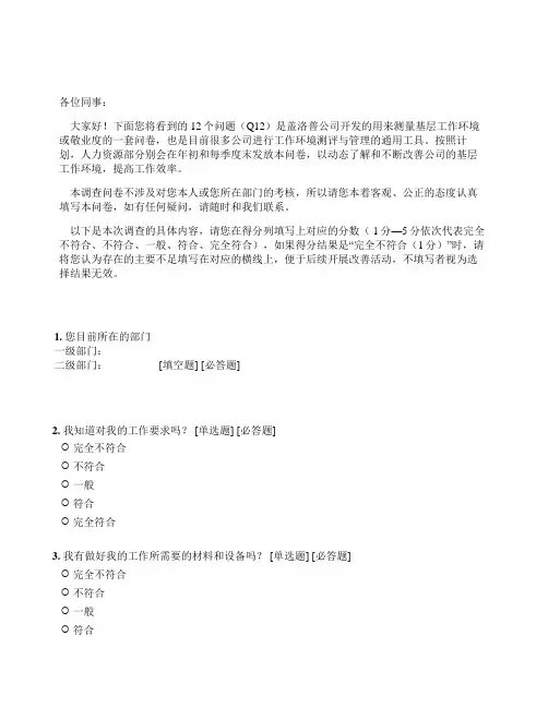 Q12测评问卷