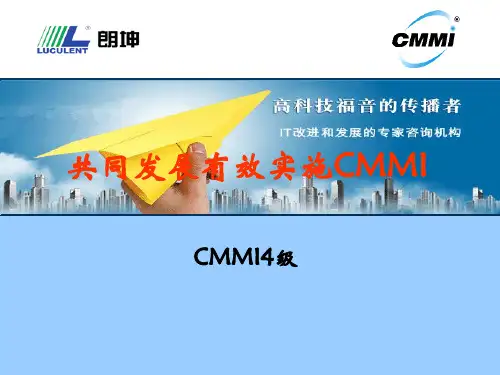 CMMI4级基本情况介绍