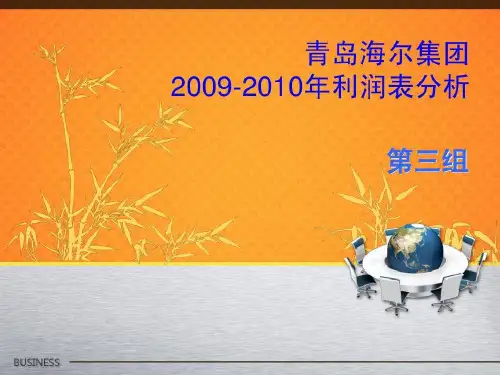 青岛海尔利润表分析共30页文档