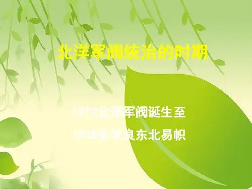 高考历史一轮复习   北洋军阀统治时期.ppt