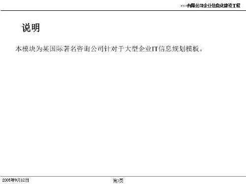 国际咨询公司IT信息规划模板
