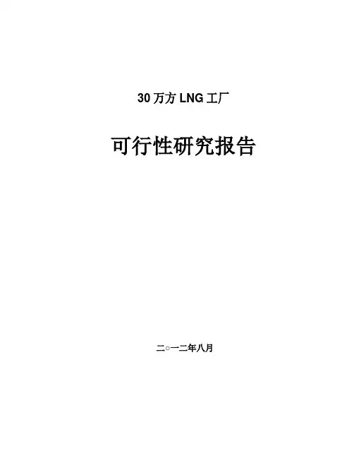 30万方LNG可研报告