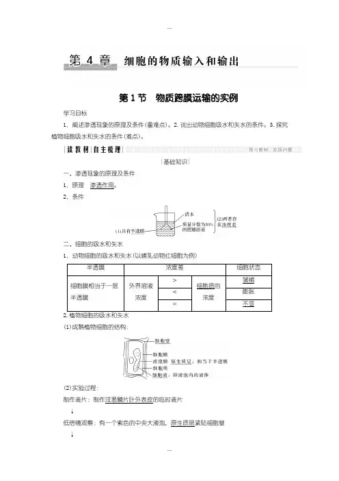 2020届人教版高中生物必修一学案：4.1 物质跨膜运输的实例含答案