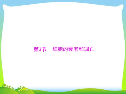 细胞的衰老和凋亡_2-课件