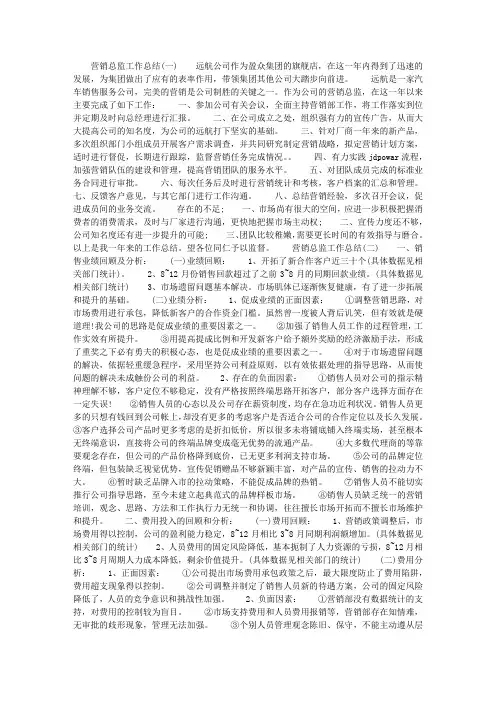 最新营销总监年终工作总结两篇