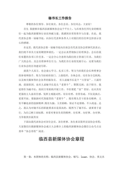 秘书长工作报告