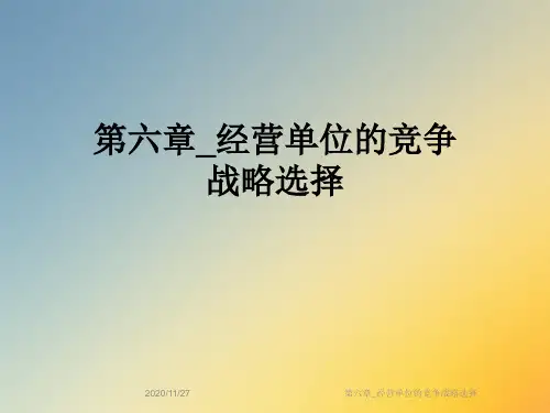 第六章_经营单位的竞争战略选择