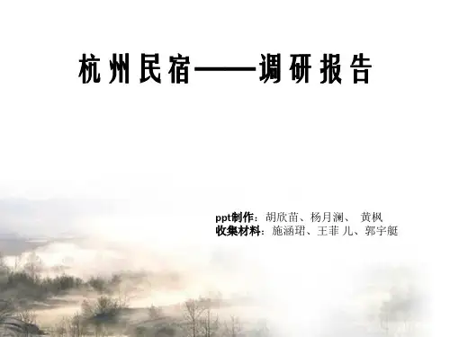 杭州民宿调研报告