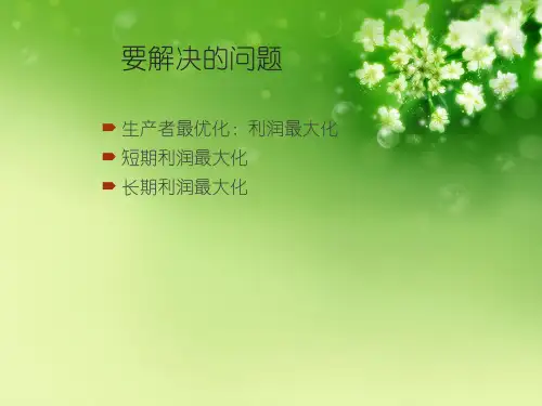中级微观经济学第七讲