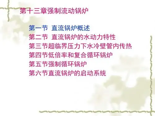强制流动锅炉及其水动力特性