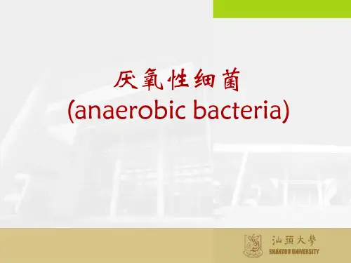 感染与免疫学课件-厌氧性细菌