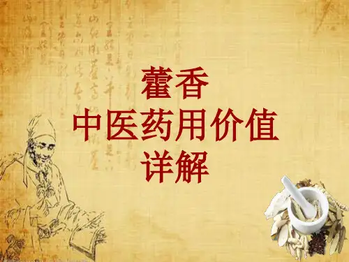 中药学_藿香_药材详解课件模板